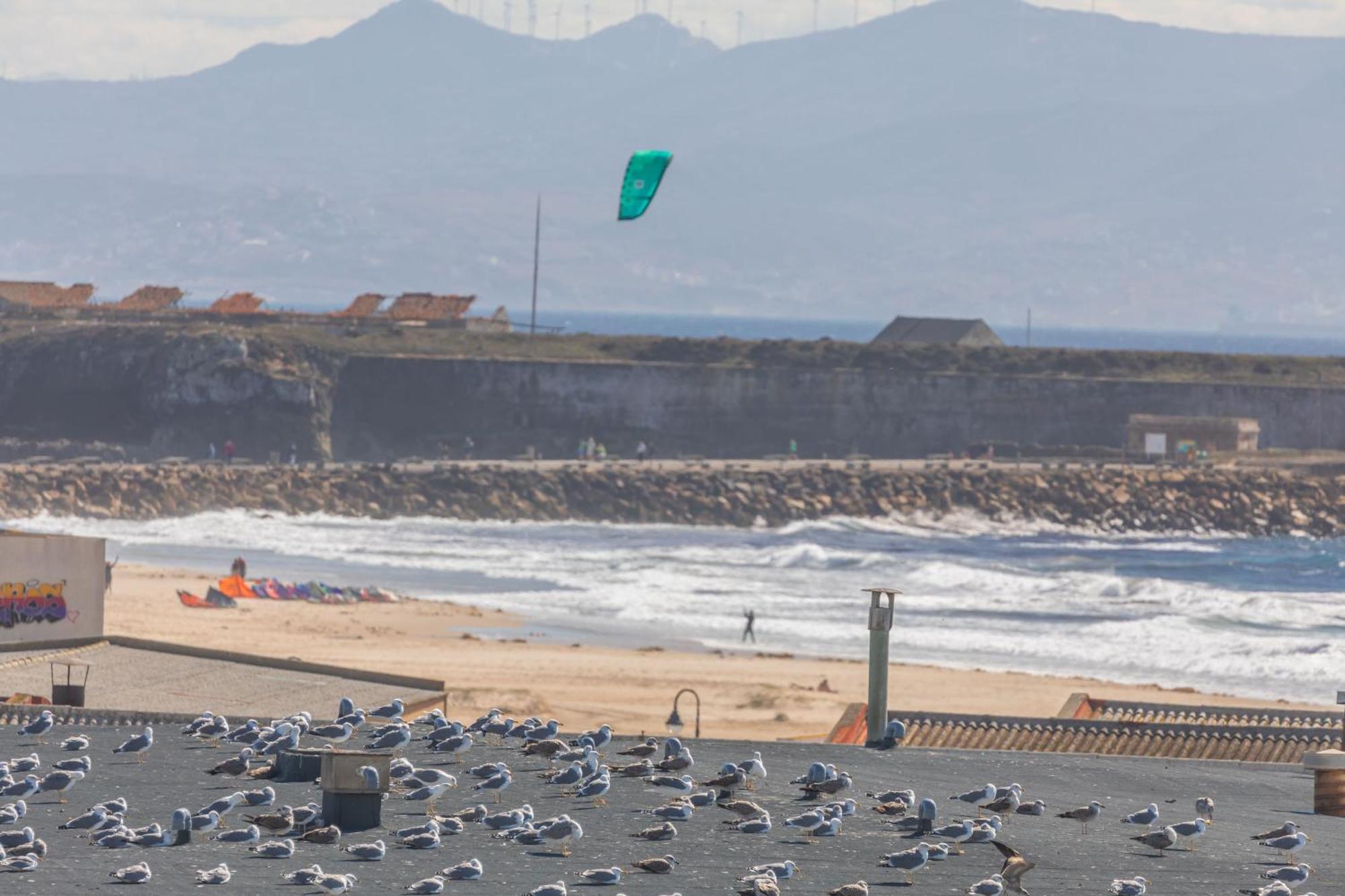 Los Lances Beach Apartments Tarifa Kültér fotó